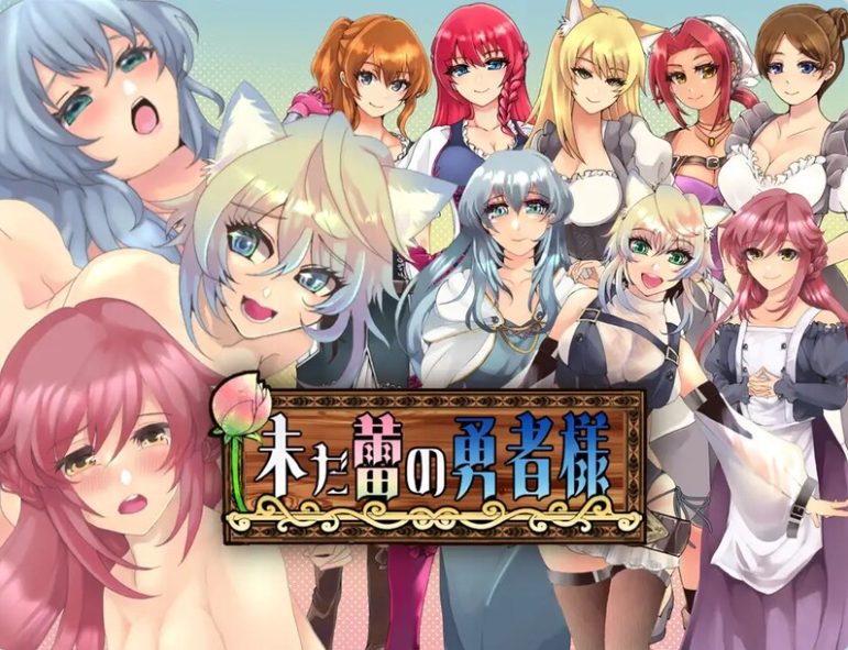 【PC/安卓/汉化版/RPG游戏/2.39G】未开花的勇者大人 Ver1.0.2 汉化版+PC+安卓+RPG游戏+2.39G