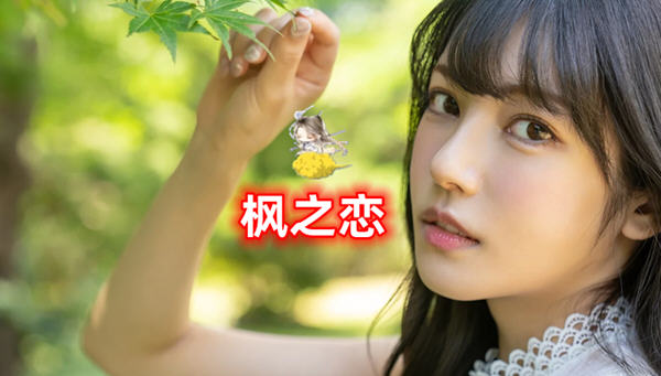 【安卓/PC/SLG/中文/2.1G/日式】枫之恋 ver1.0 官方中文版 PC+安卓 日式SLG游戏&新作完结&补+2.1G